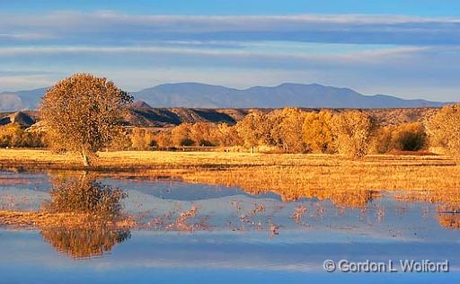 Bosque del Apache_73474.jpg - Photographed in the Bosque del Apache National Wildlife Refuge near San Antonio, New Mexico USA. 